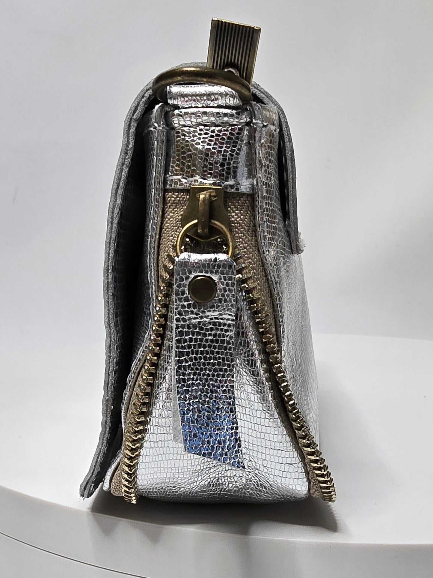 Jérôme bag, small iridescent model, Silver